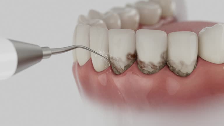 Reliable Dental contractor in Lansing, KS by Dentist Open Now